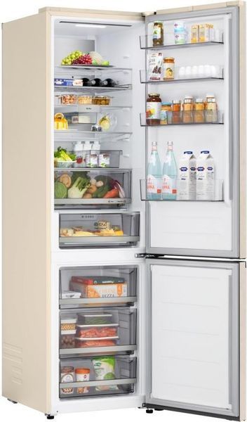 Холодильник з морозильною камерою LG GC-B509EEKM &ndash; фото