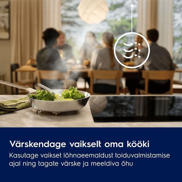 Витяжка Electrolux LFG835K &ndash; фото