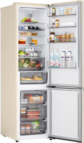 Холодильник з морозильною камерою LG GC-B509EESM &ndash; фото