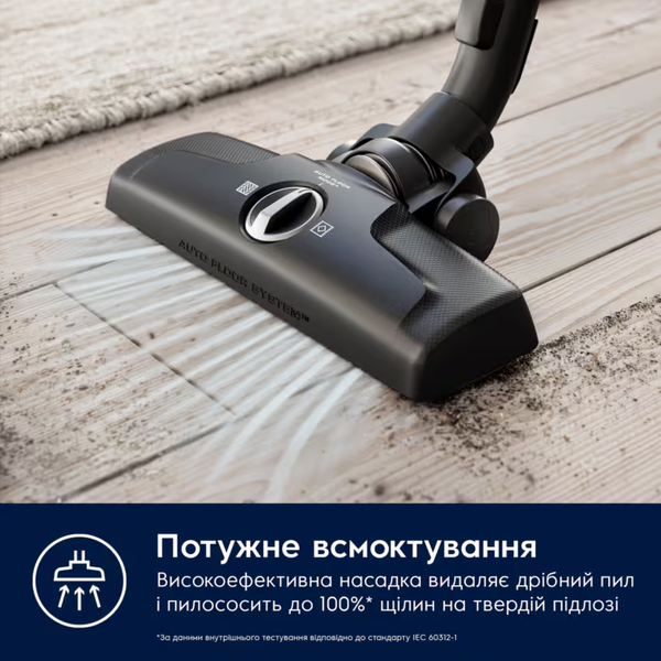 Пилосос з мішком Electrolux EB61C1OG &ndash; фото