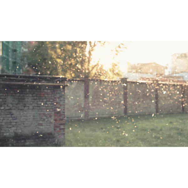 &ndash; фото