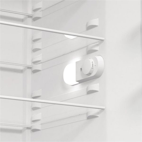 Холодильна камера Gorenje R619EEW5 &ndash; фото