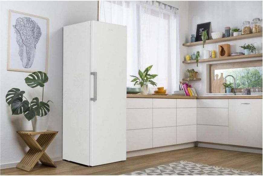 Холодильна камера Gorenje R619EEW5 &ndash; фото