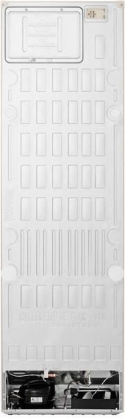 Холодильник з морозильною камерою LG GC-B509EELM &ndash; фото