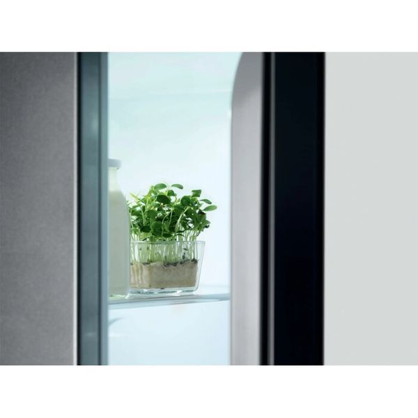 Морозильная камера Electrolux RUT7ME28X2 &ndash; фото